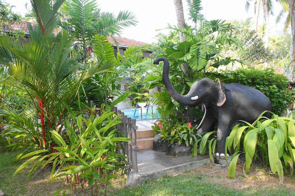 Pahalage Guesthouse เบอร์อูวาลา ภายนอก รูปภาพ